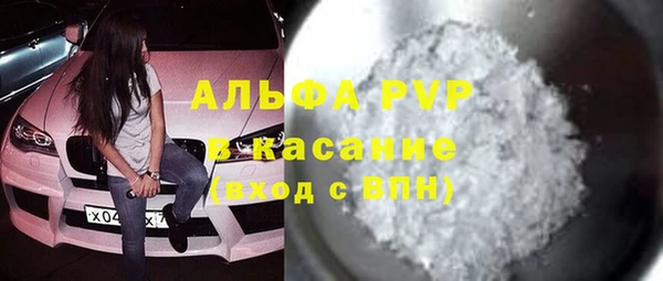 PSILOCYBIN Белокуриха
