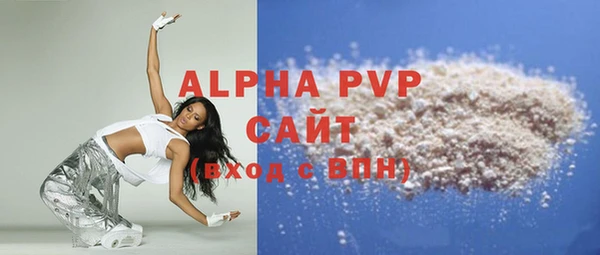 PSILOCYBIN Белокуриха